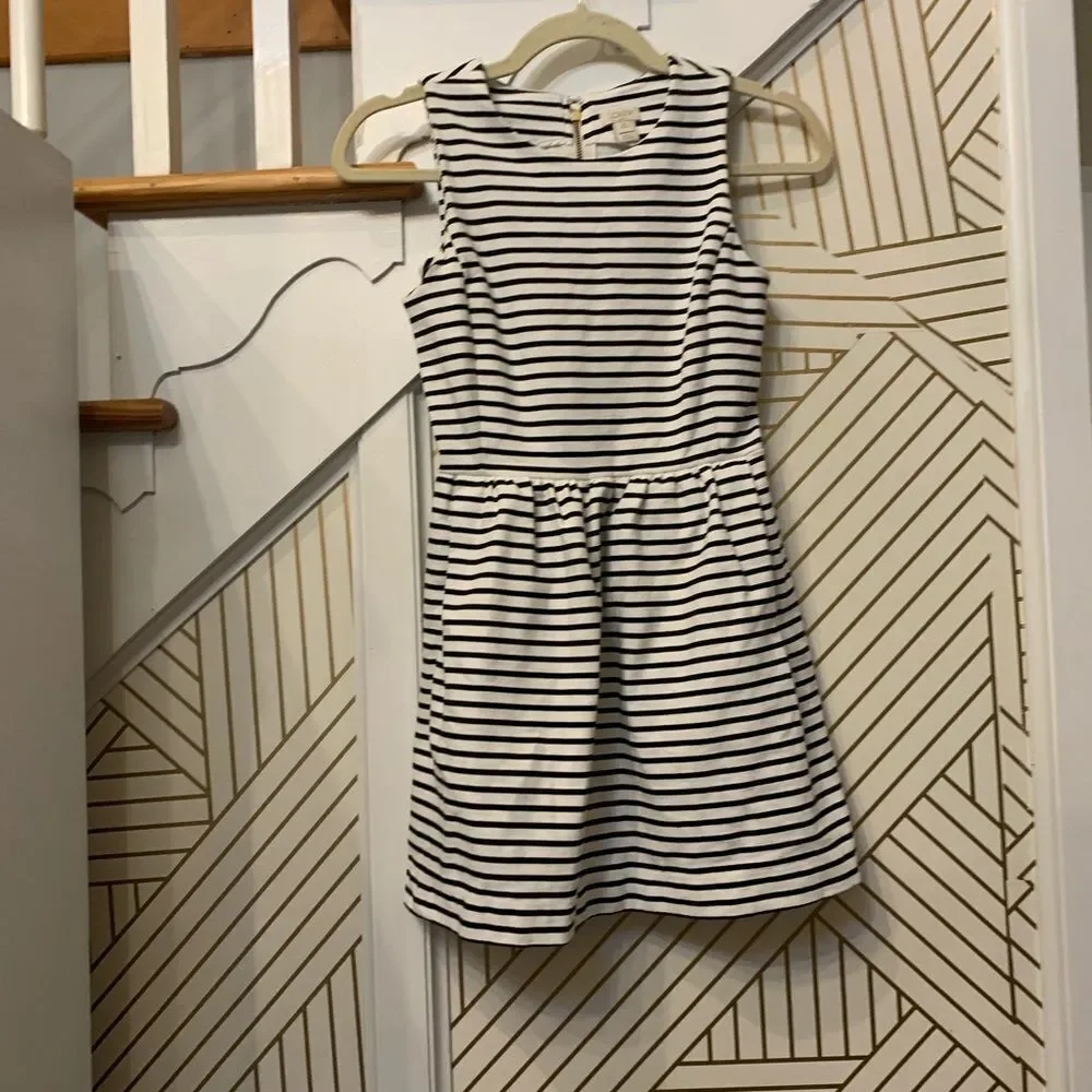 J.Crew Striped Fit and Flare Dress